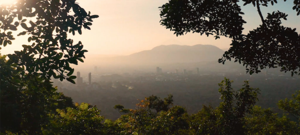 Regreening San Salvador to fight climate change