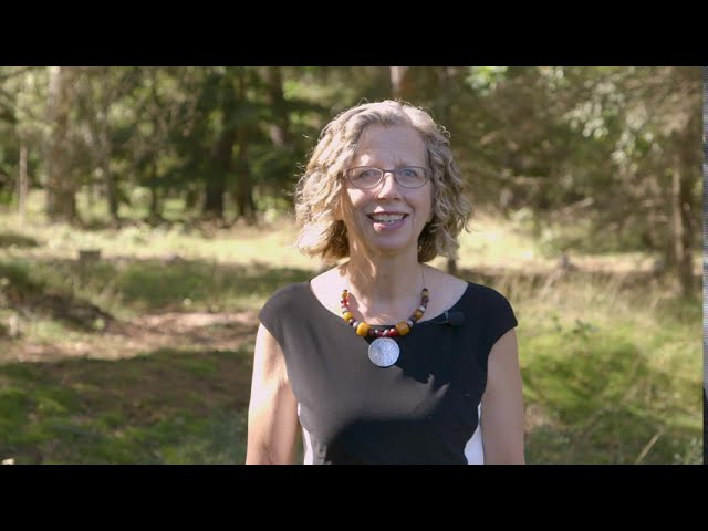 Inger Andersen message for International Day of Clean Air for blue skies 2020