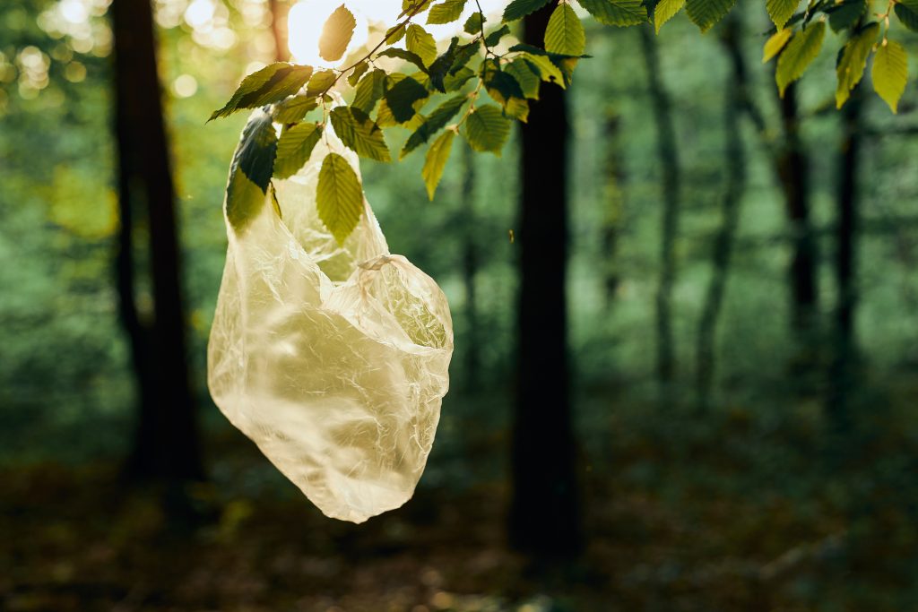 Plastic waste left in forest