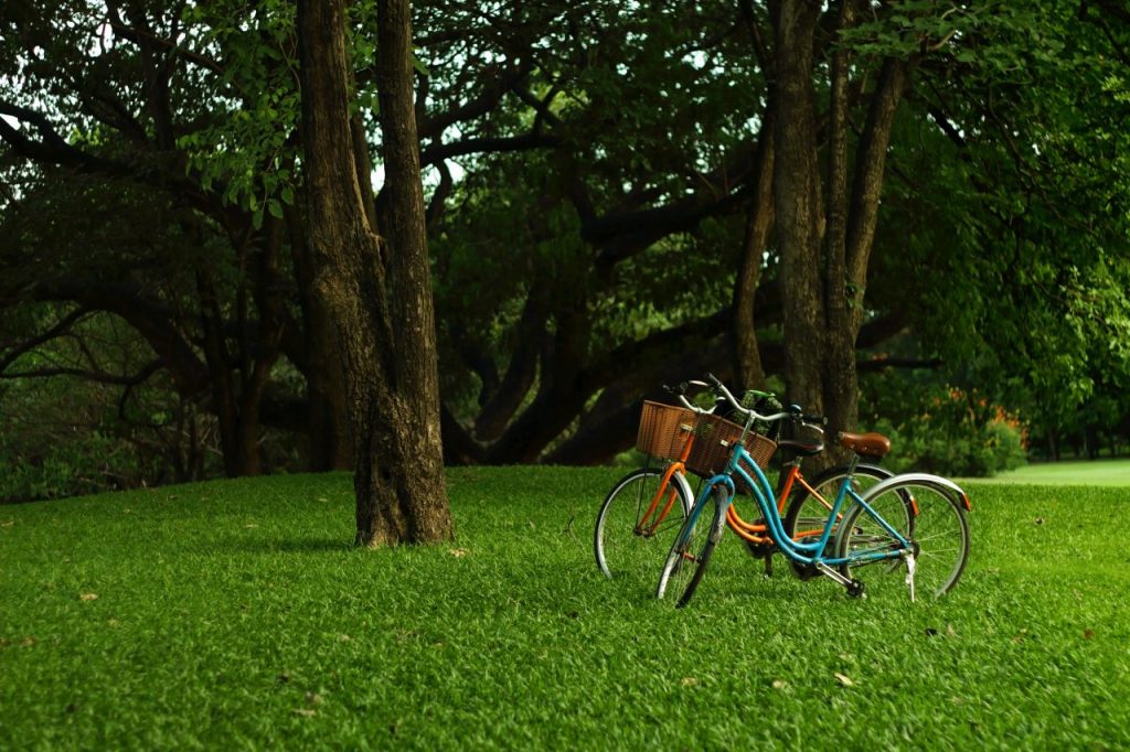 bicycle-in-the-garden-PDEXBRZ