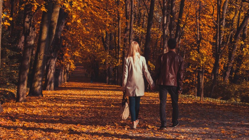 friends-in-fall-walking-down-the-autumn-park-ZNGSL2G