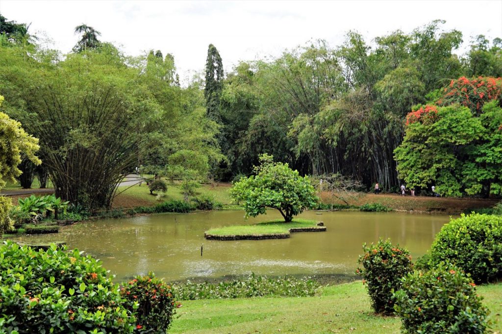 LK Kandy Royan Botanic Gardens 2017 02 (1)