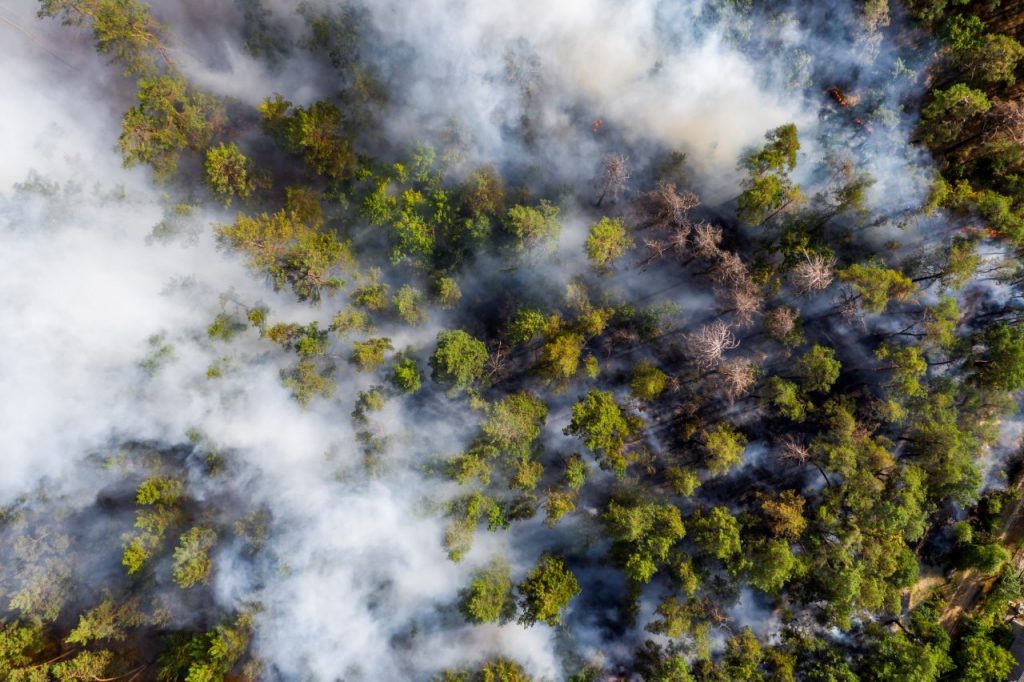 aerial-view-of-wildfire-in-forest-burning-forest-a-THGUHJY
