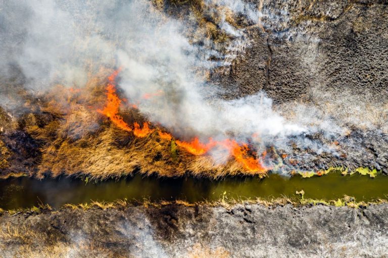aerial-view-of-wildfire-on-the-field-huge-clouds-o-PQ8EX6R-768x511