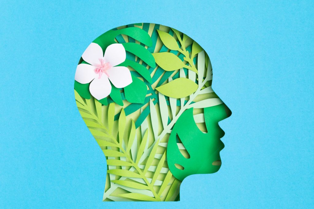 papercut-head-with-with-green-leaves-inside-menta-2021-09-02-14-41-43-utc