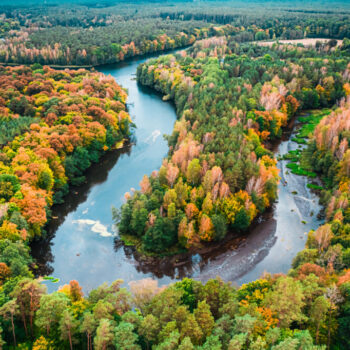 Small river and autumn forest. Aerial view of wildlife, Poland
