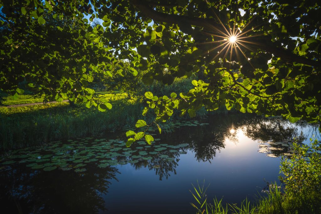 sun-shining-over-small-pond-on-a-calm-day-2021-08-29-10-20-21-utc
